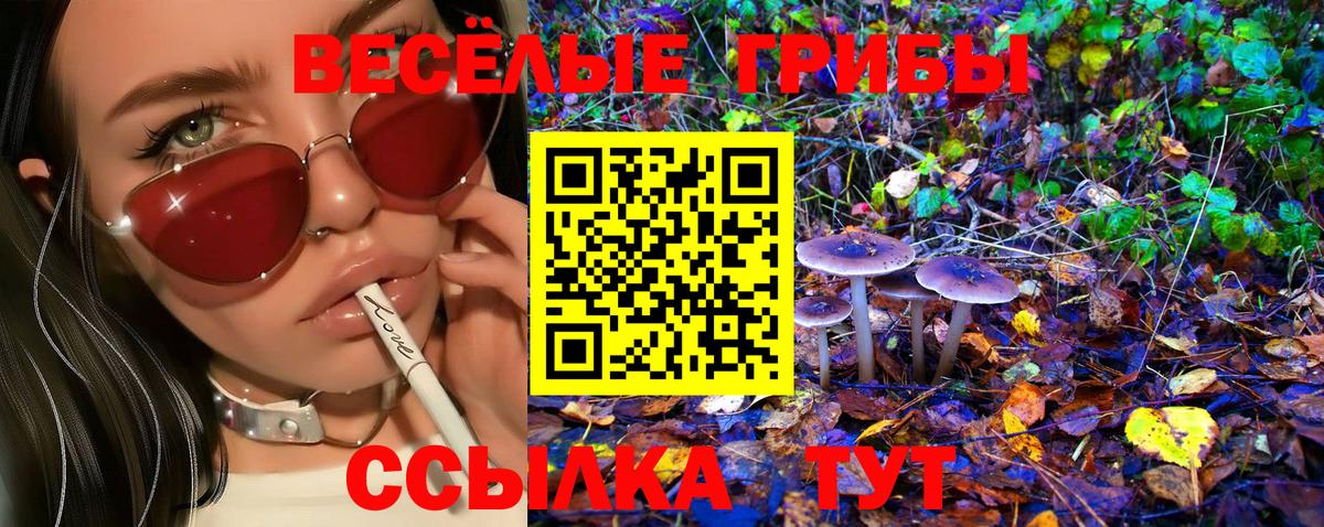 Баксан  Псилоцибиновые грибы Magic Shrooms  Вход с VPN 
